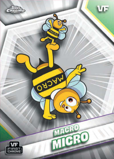 Macro Micro
