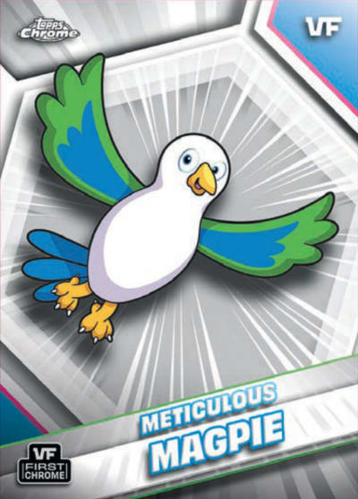 Meticulous Magpie