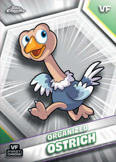 Organized Ostrich