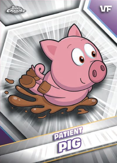 Patient Pig