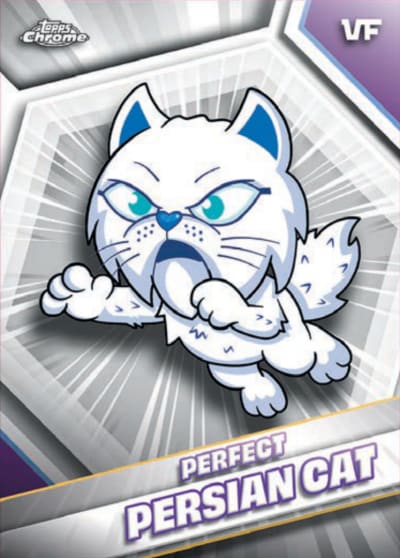 Perfect Persian Cat