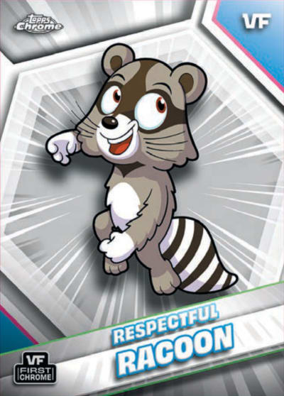 Respectful Racoon