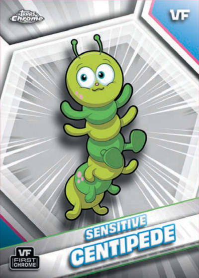 Sensitive Centipede