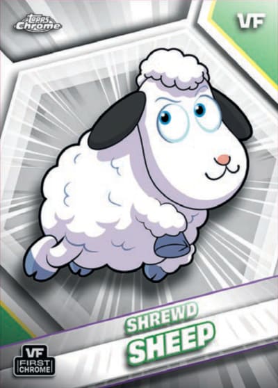 Shrewd Sheep