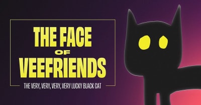 The Untold Story: How the VeeFriends Mascot Was Almost Something ...