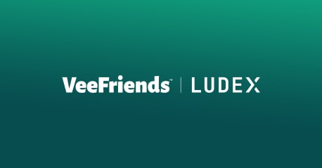 VeeFriends x Ludex