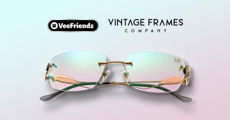 VeeFriends x Vintage Frames: Forthright Flamingo Sunglasses
