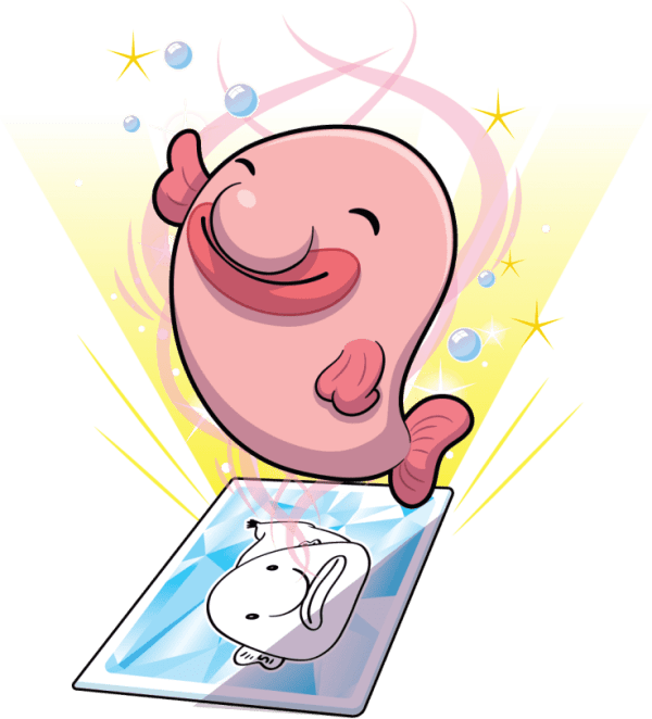 Bashful Blobfish Image