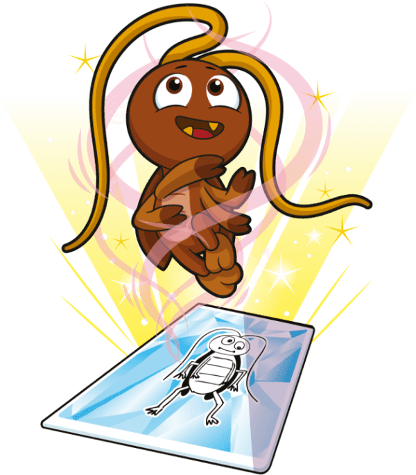 Conviction Cockroach Image