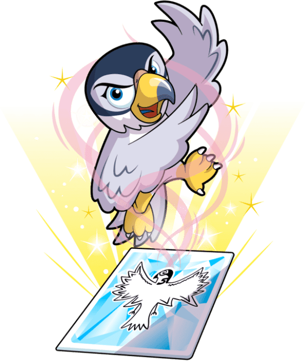 Focused Falcon Image