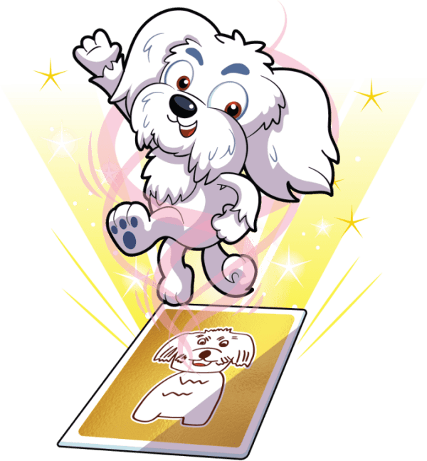Magnanimous Maltese Image