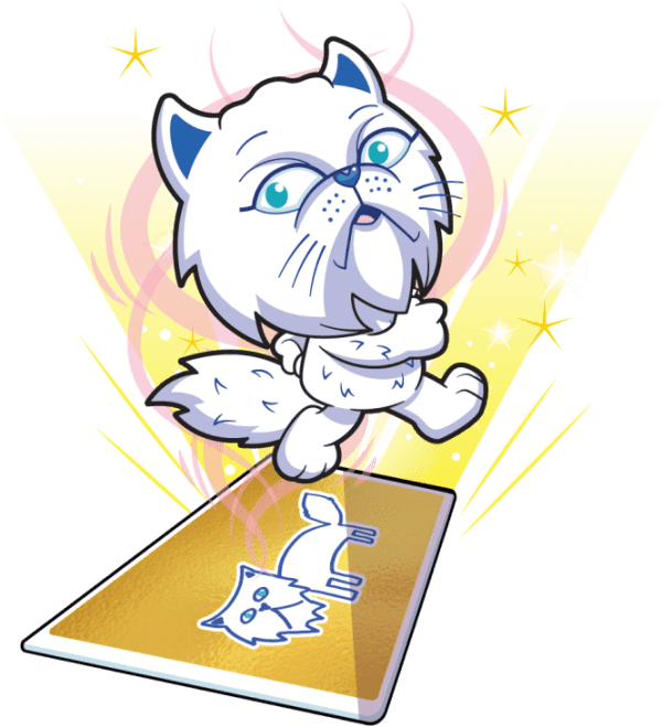 Perfect Persian Cat Image