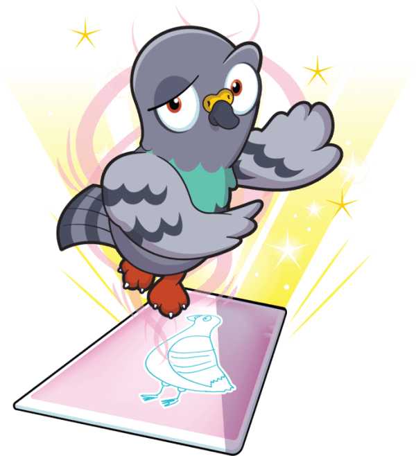 Perspective Pigeon Image