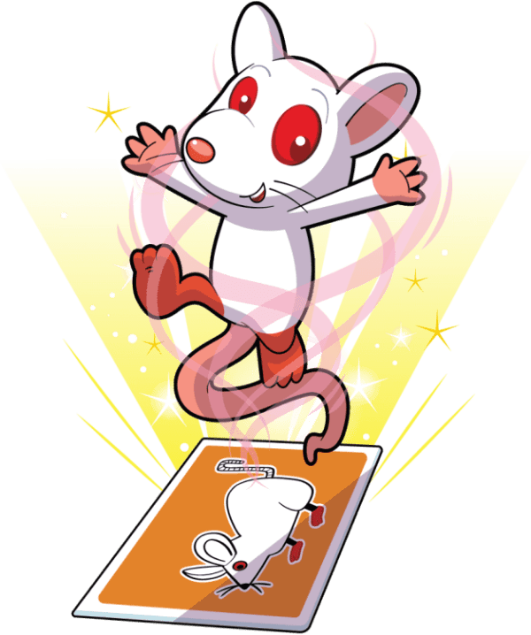 Reliable Rat Image