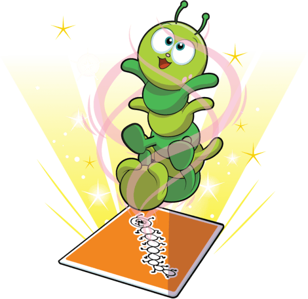Sensitive Centipede Image