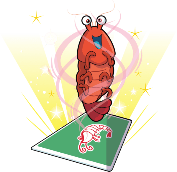 Sufficient Shrimp Image