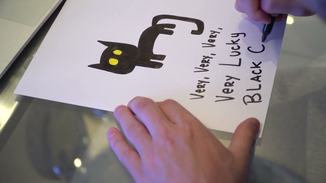 The Creation of Very, Very, Very, Very Lucky Black Cat by Gary Vaynerchuk | VeeFriends