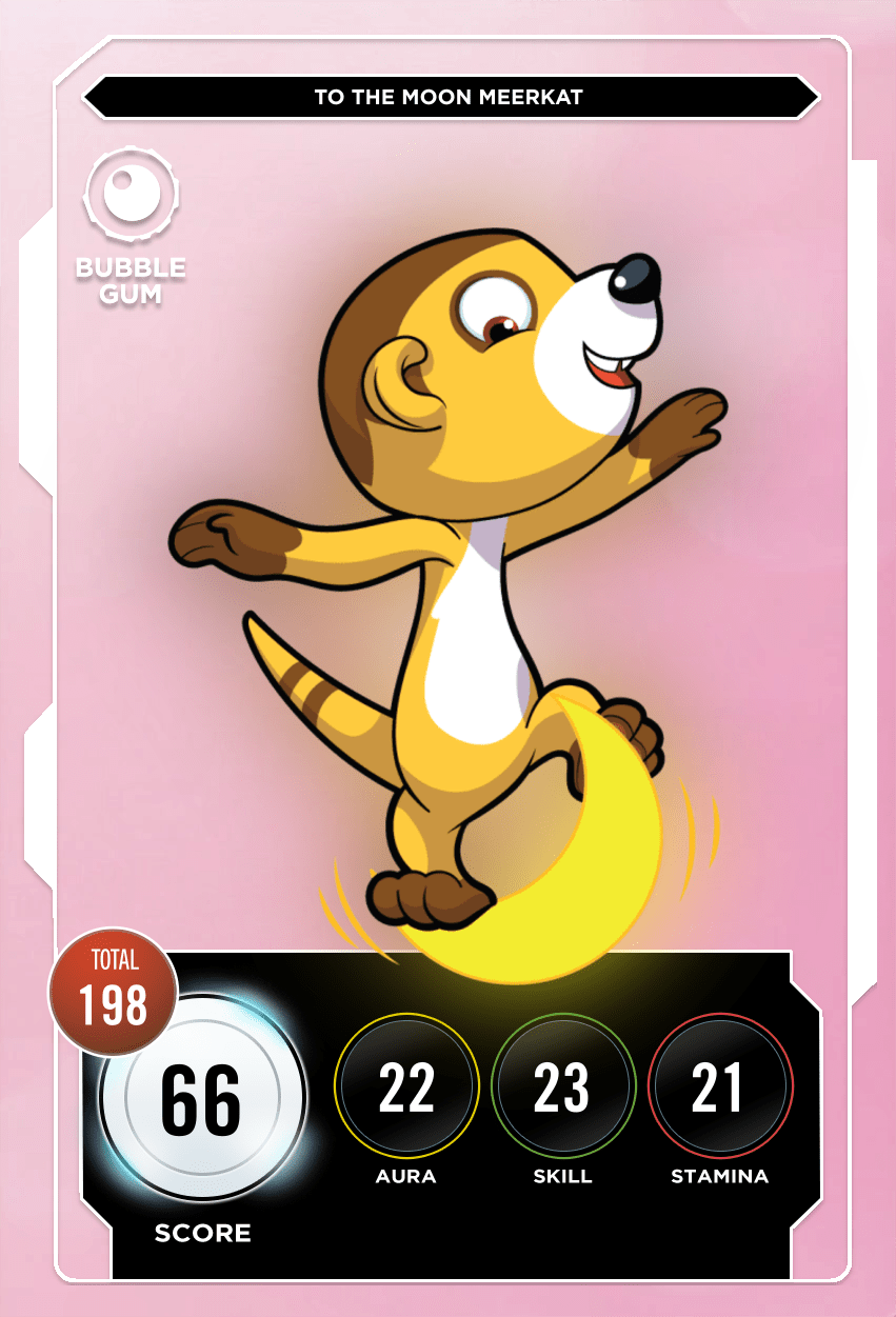 To The Moon Meerkat