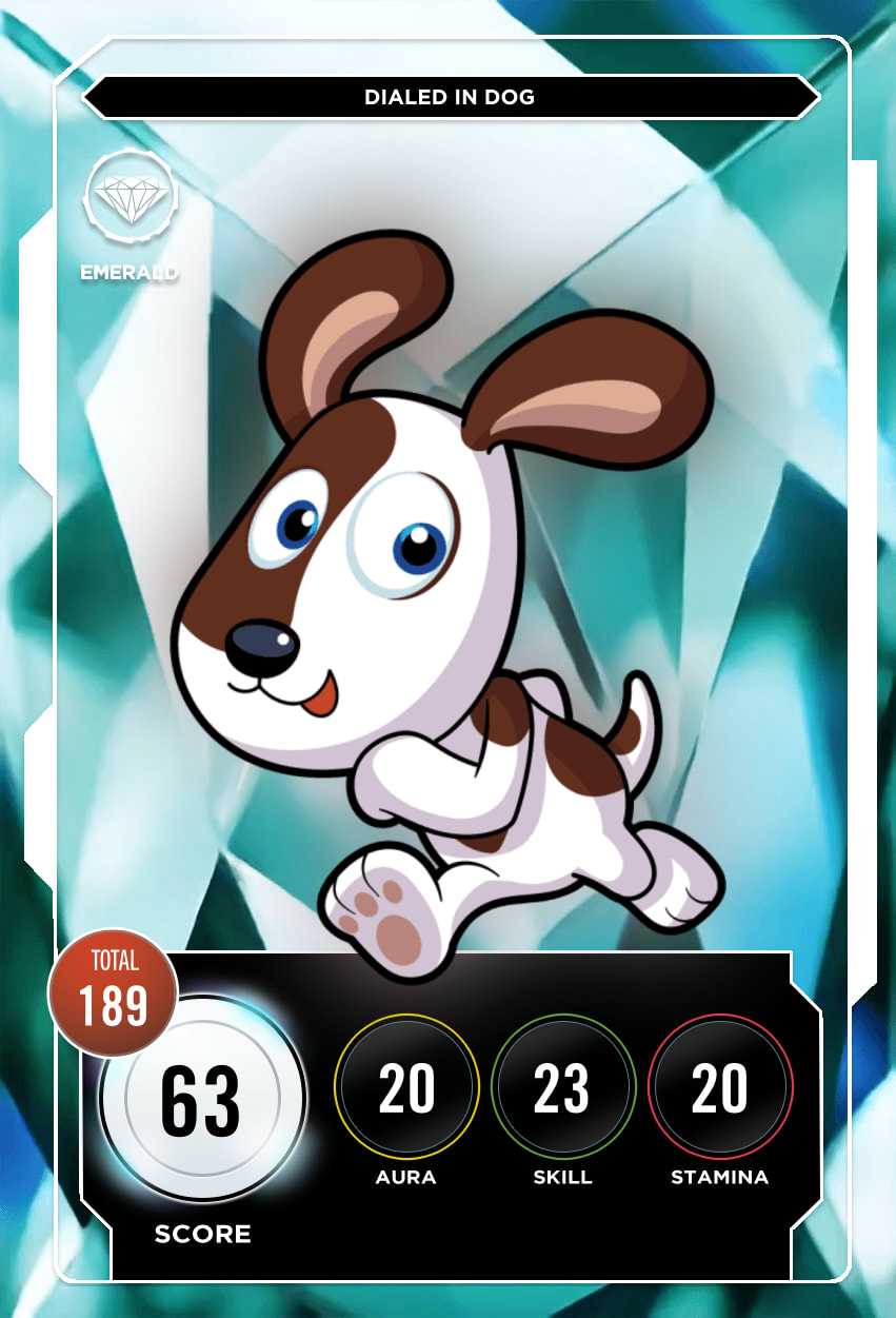 Dialed In Dog