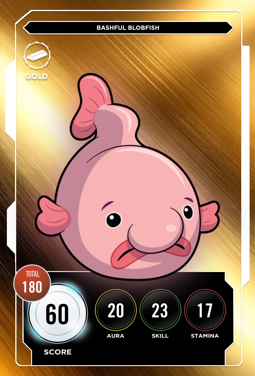 Bashful Blobfish