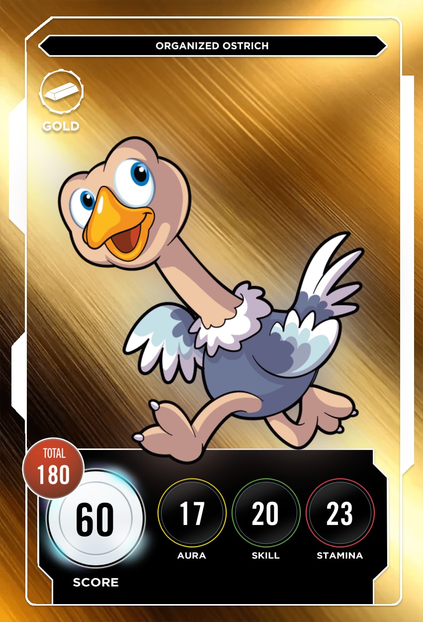 Organized Ostrich