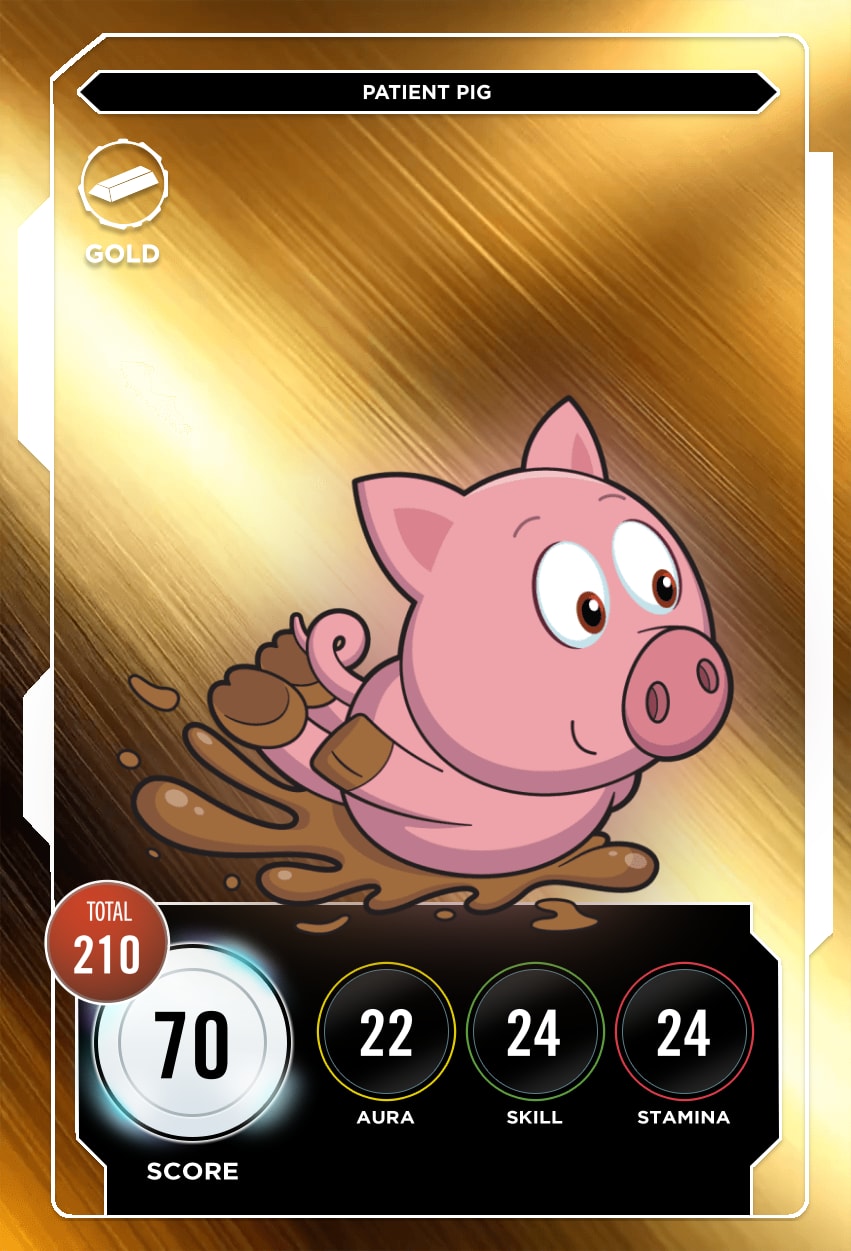 Patient Pig