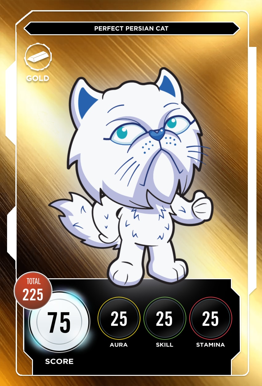 Perfect Persian Cat