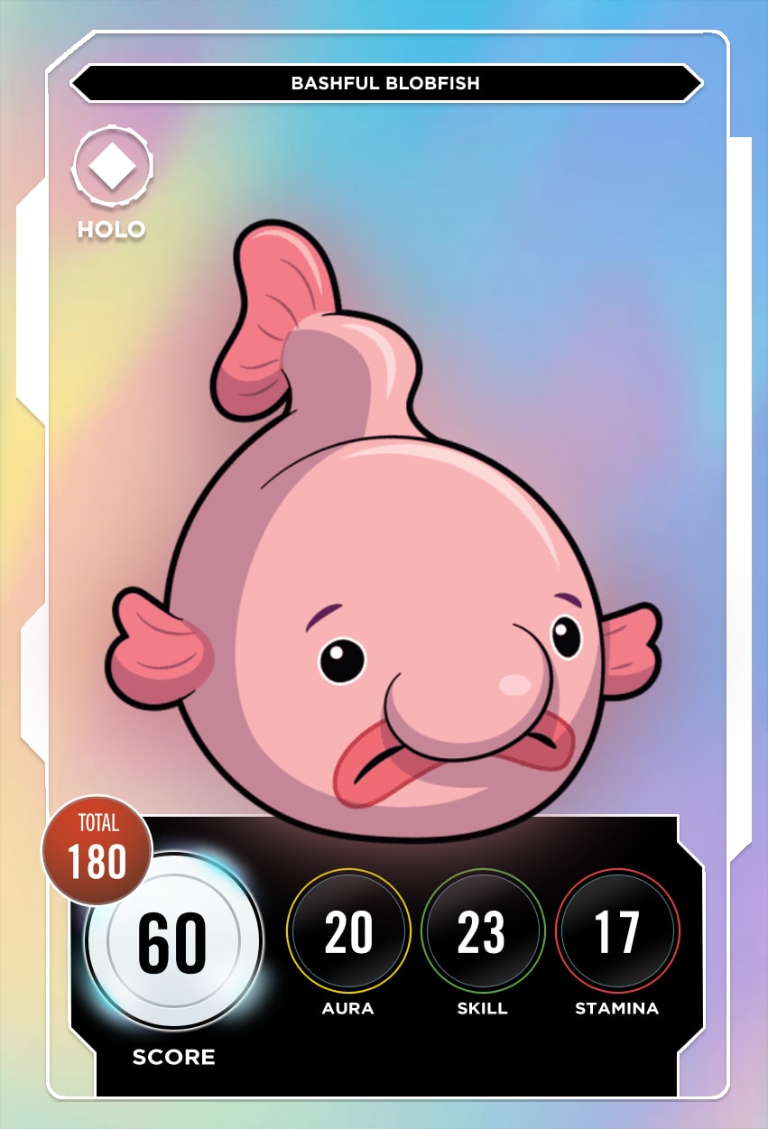 Bashful Blobfish