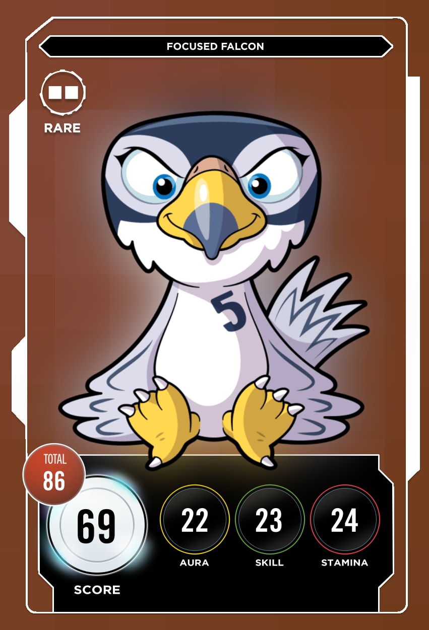 Focused Falcon