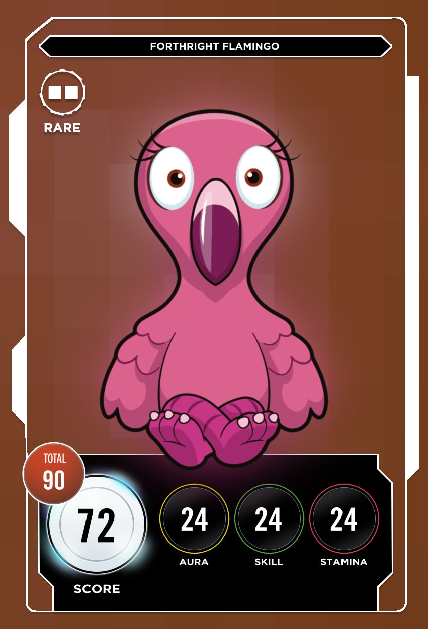 Forthright Flamingo