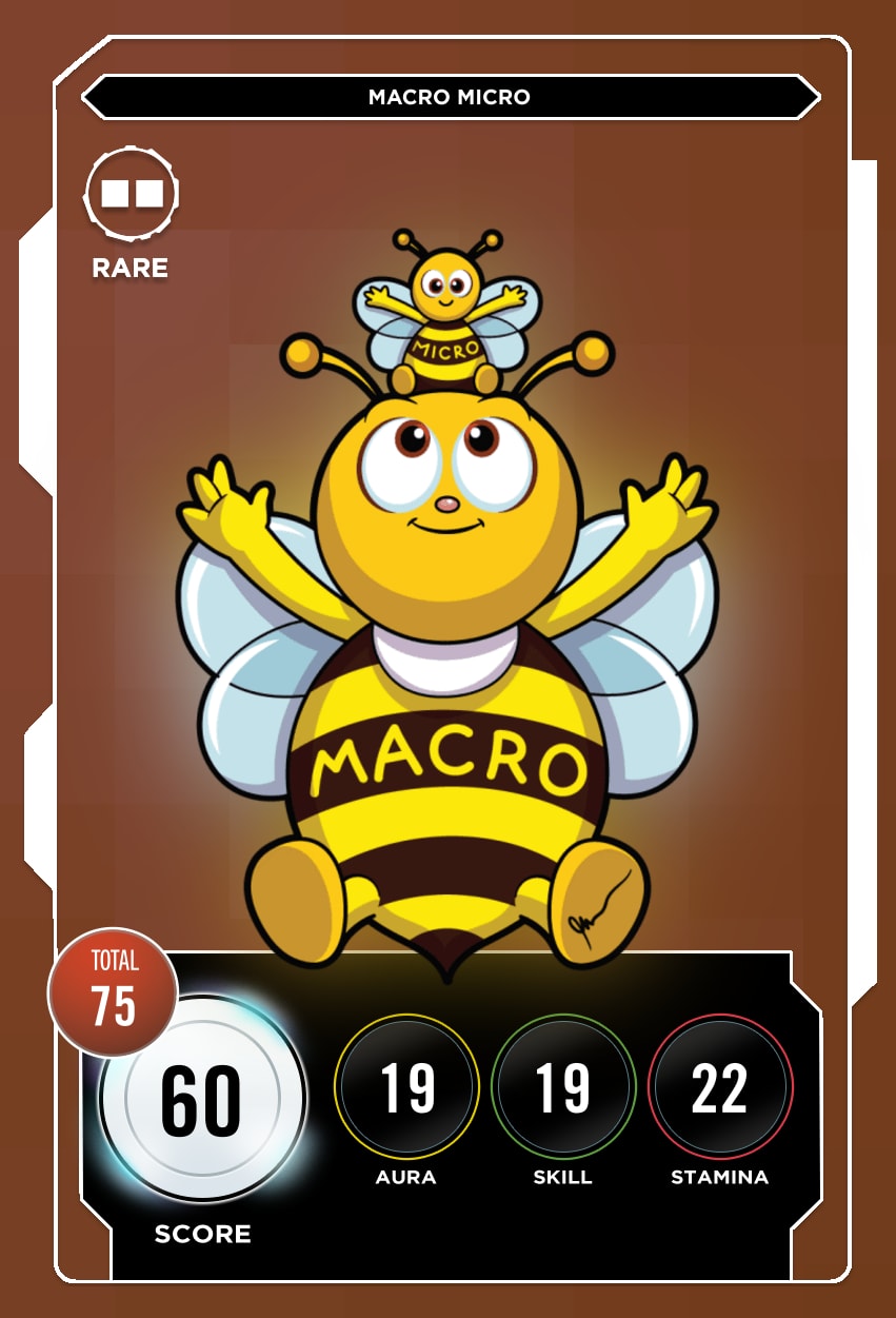 Macro Micro