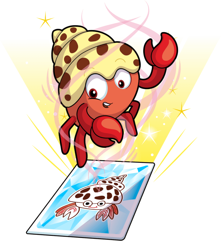 Happy Hermit Crab Image