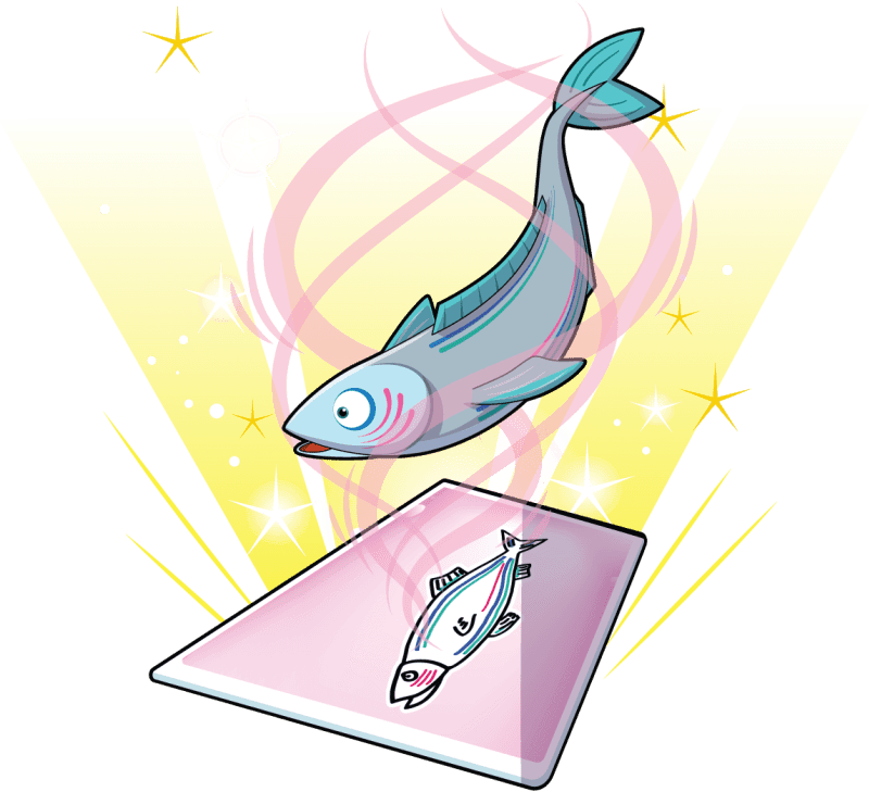 Spiffy Salmon Image