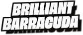 Brilliant
Barracuda