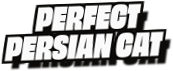 Perfect
Persian Cat