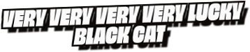 Very Very Very Very Lucky
Black Cat