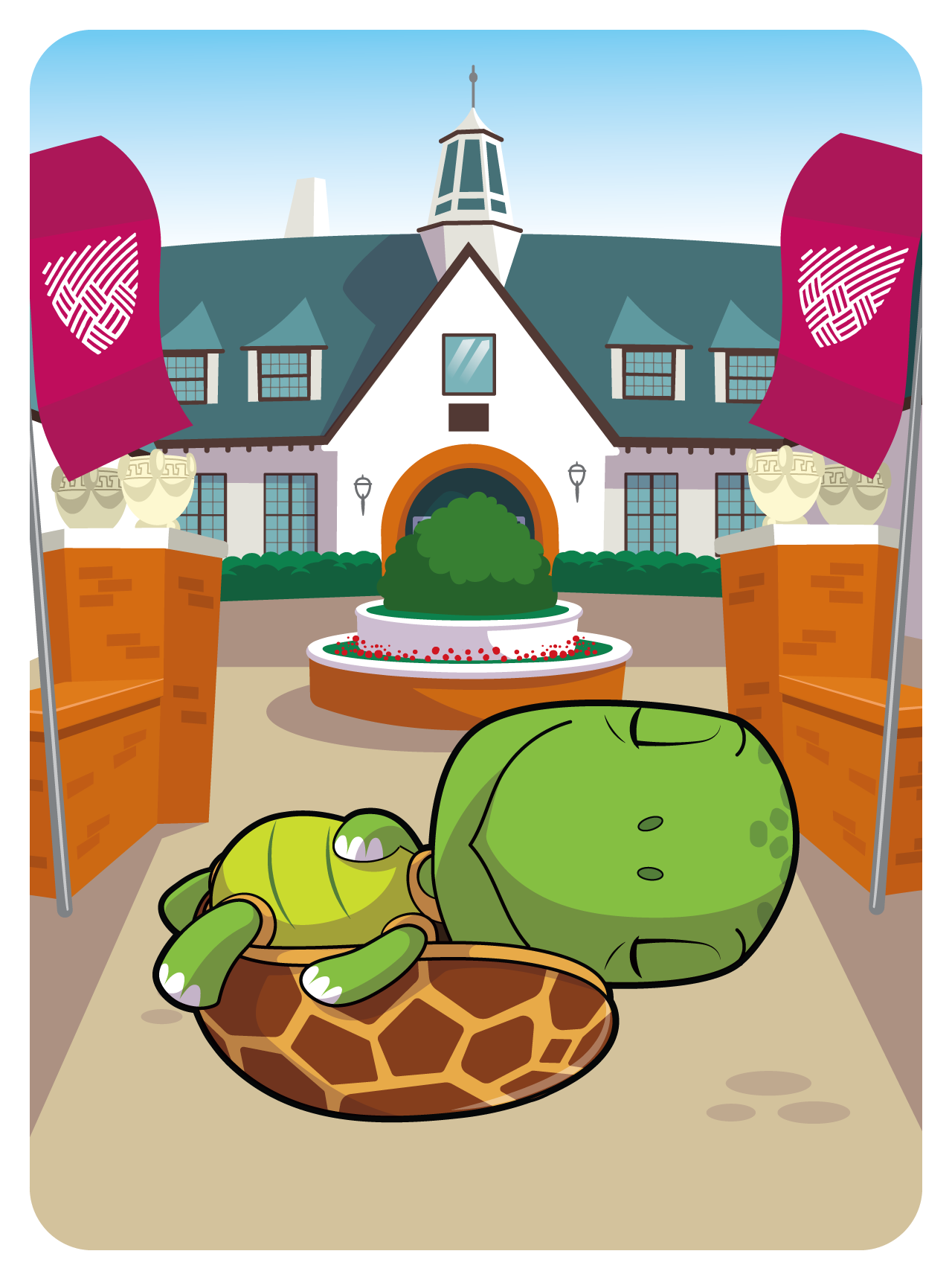 Tolerant Tortoise #20379