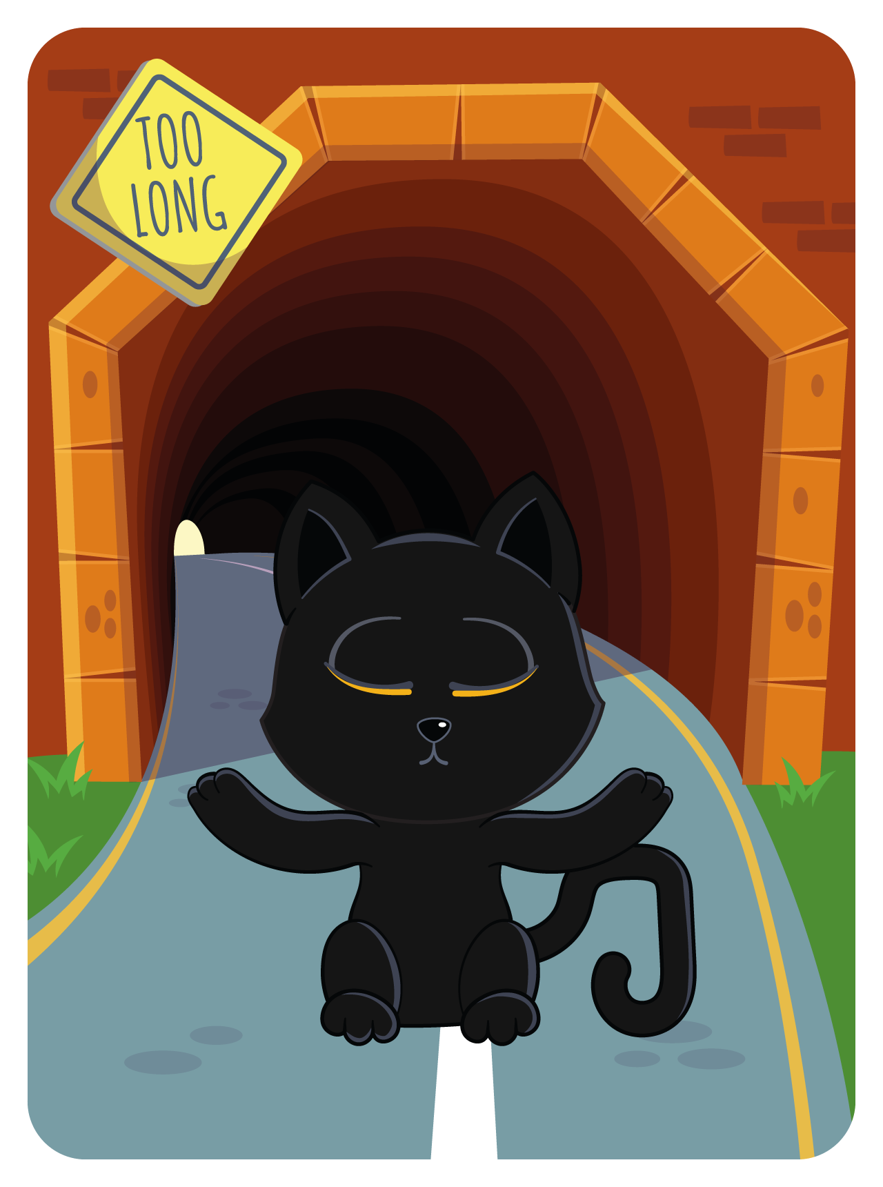 Gary Vaynerchuk - VeeFriends Series 2 - Very, Very, Very, Very, Lucky Black Cat #41826 - NFT # 41826