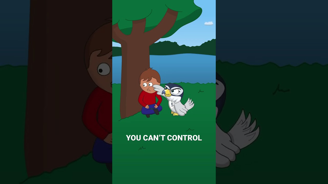 VeeFriends Cartoon On Youtube