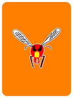 "Hot Shit" Hornet