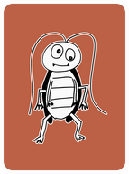Conviction Cockroach