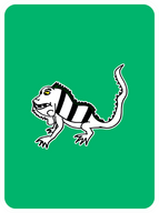 Level Headed Lizard
