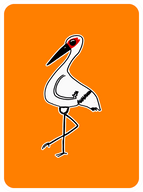Curious Crane