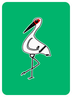 Curious Crane