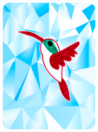Humble Hummingbird