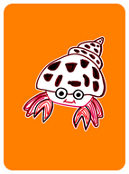Happy Hermit Crab