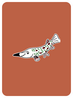 Grateful Gar
