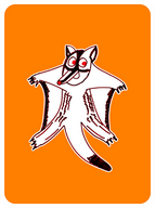 Gleeful Sugar Glider