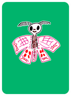 Major Moth