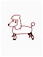 Polished Poodle